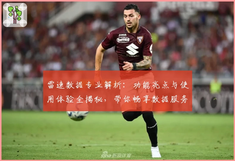 雷速数据专业解析：功能亮点与使用体验全揭秘，带你畅享数据服务新高度