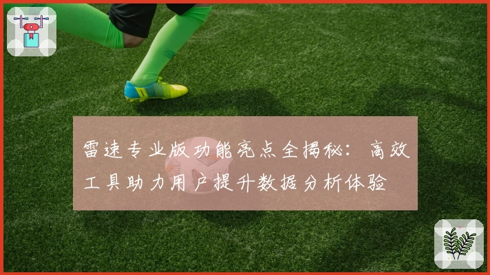 雷速专业版功能亮点全揭秘：高效工具助力用户提升数据分析体验
