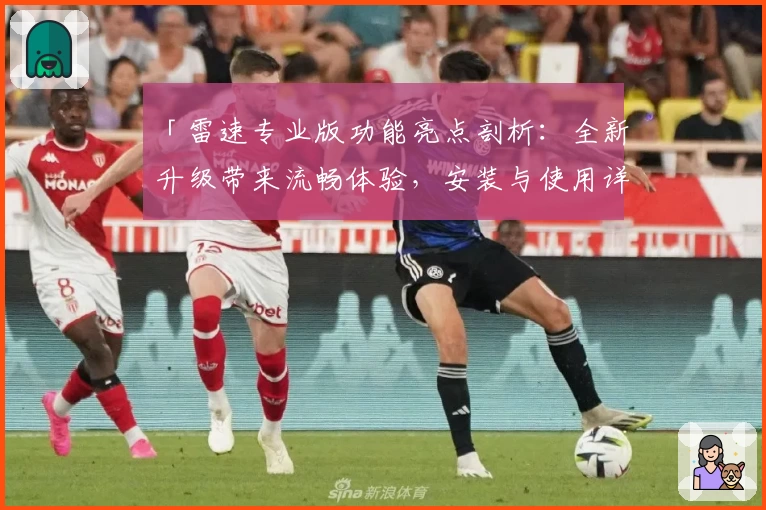 「雷速专业版功能亮点剖析：全新升级带来流畅体验，安装与使用详细指南」