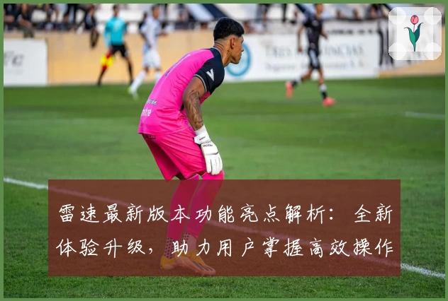 雷速最新版本功能亮点解析:全新体验升级,助力用户掌握高效操作秘诀