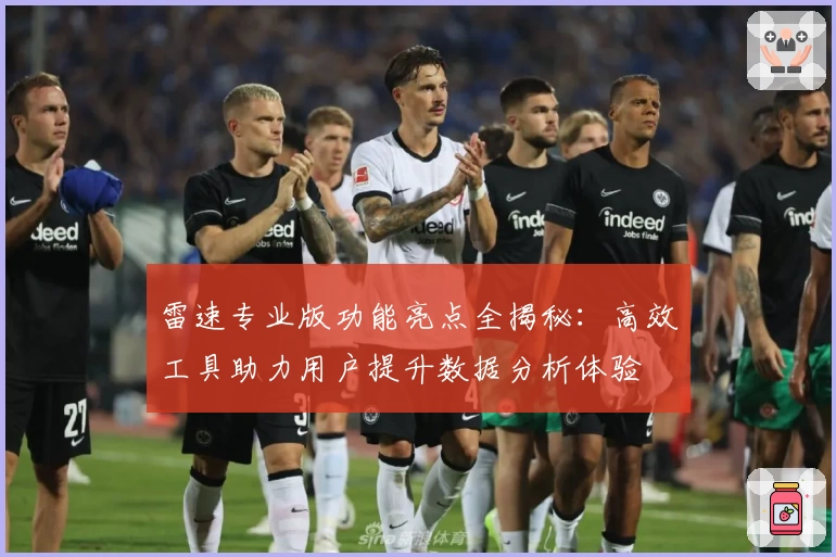 雷速专业版功能亮点全揭秘:高效工具助力用户提升数据分析体验